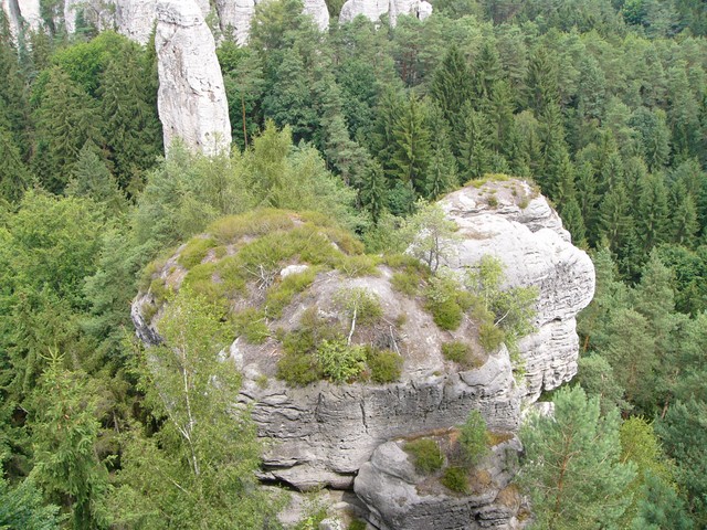 P1260763