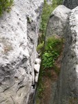 P1260781