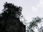 P1260819