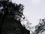 P1260820