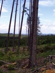 P7050437.JPG