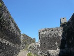 p1000836