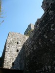 p1000864