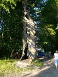 p1000902