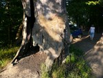 p1000903