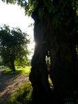 p1000905
