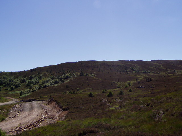 p7110071.jpg