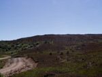 p7110071.jpg