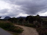 p7120106.jpg
