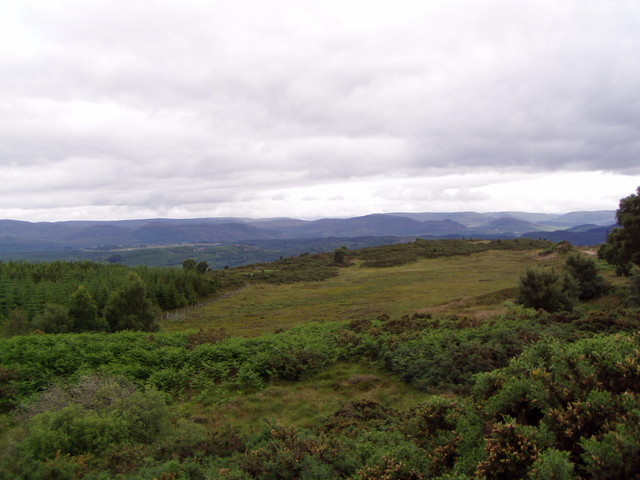p7120108.jpg
