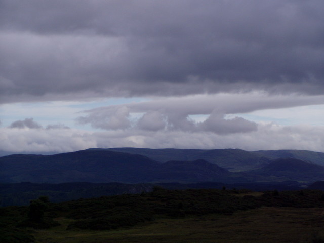 p7120109.jpg