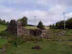 p7130111.jpg