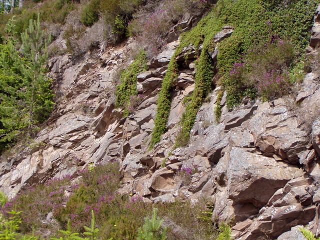 p7130119.jpg