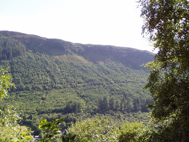 p7130131.jpg
