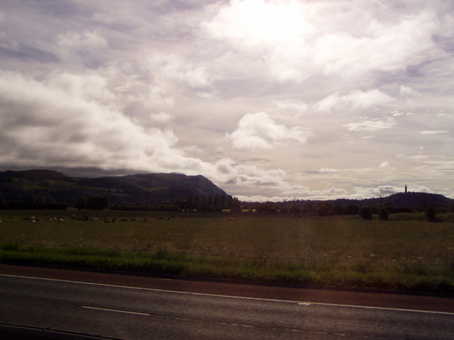 p7100061.jpg