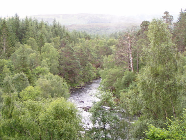 p7180210.jpg