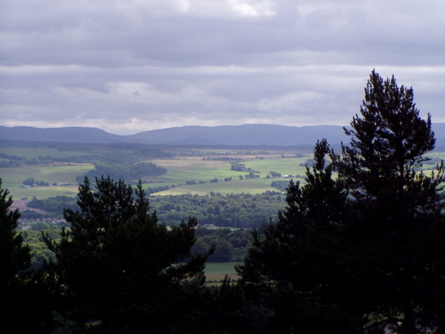 p7200221.jpg