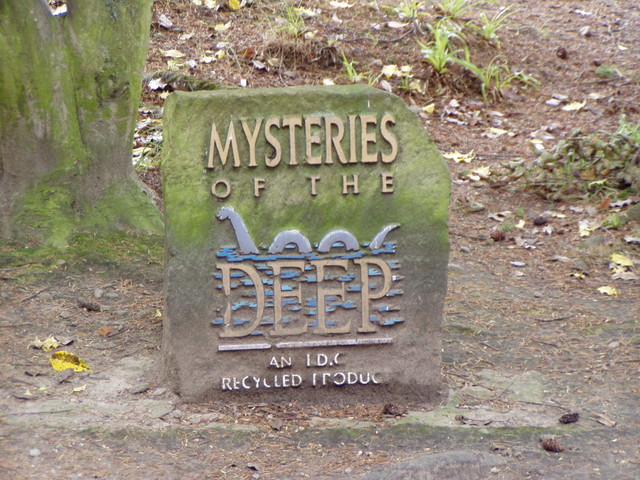 p7210231.jpg