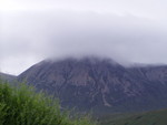p7160182.jpg