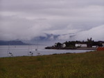 p7160183.jpg