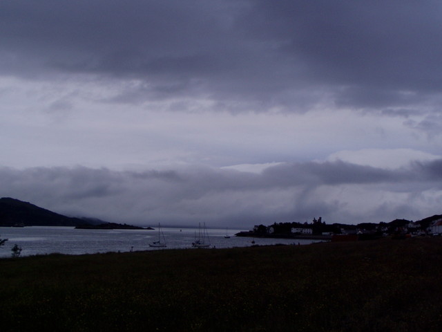 p7160184.jpg