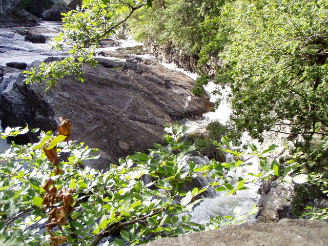 p7130136.jpg