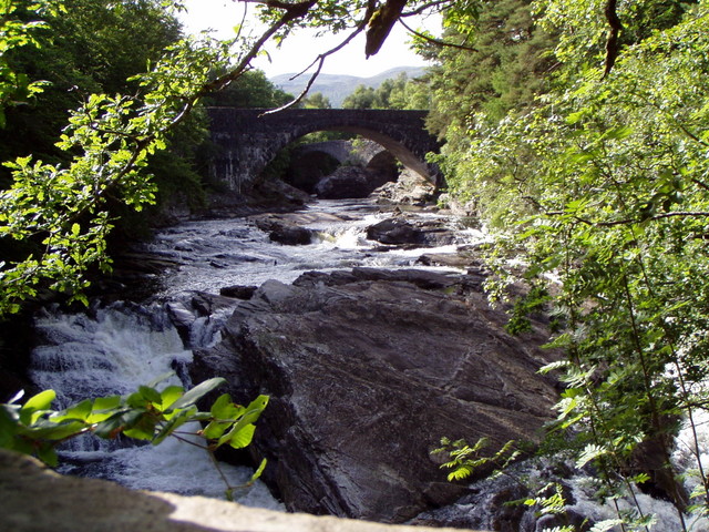 p7130137.jpg