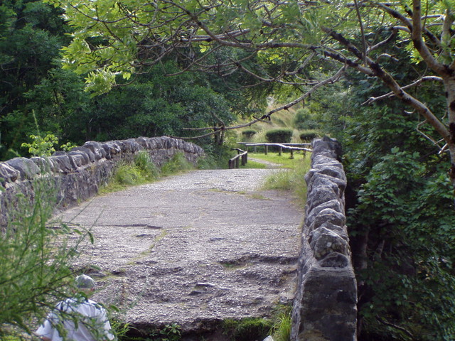 p7130145.jpg