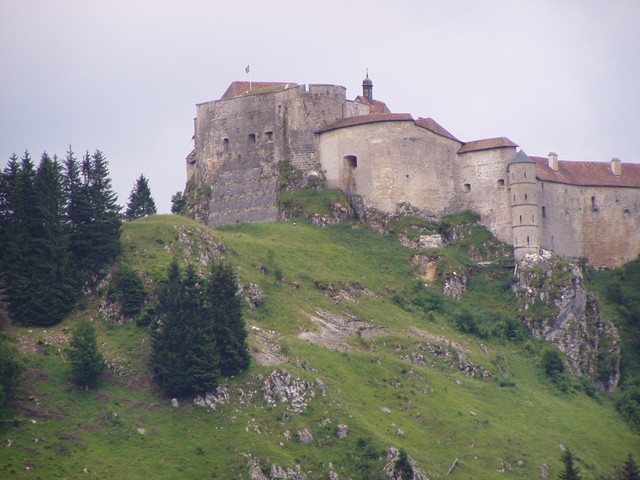 Chateau de Joux