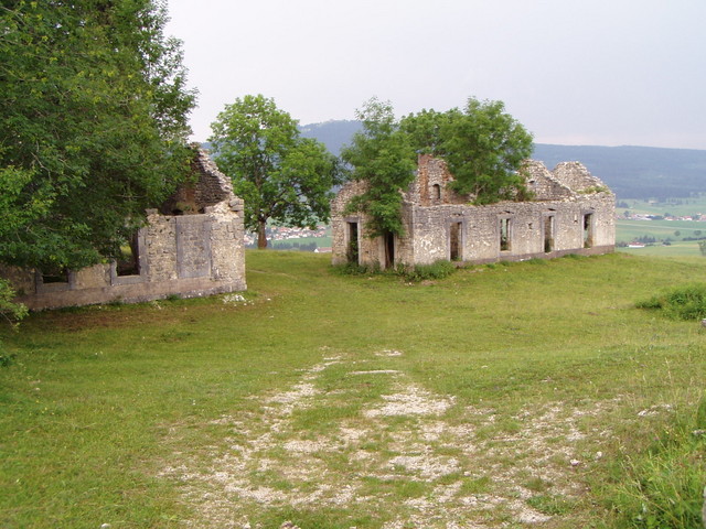 p7120132.jpg