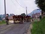 p7120137.jpg