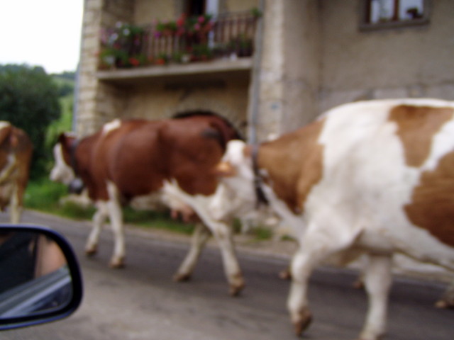 p7120139.jpg