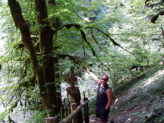 p7130144.jpg