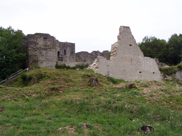 p7130171.jpg