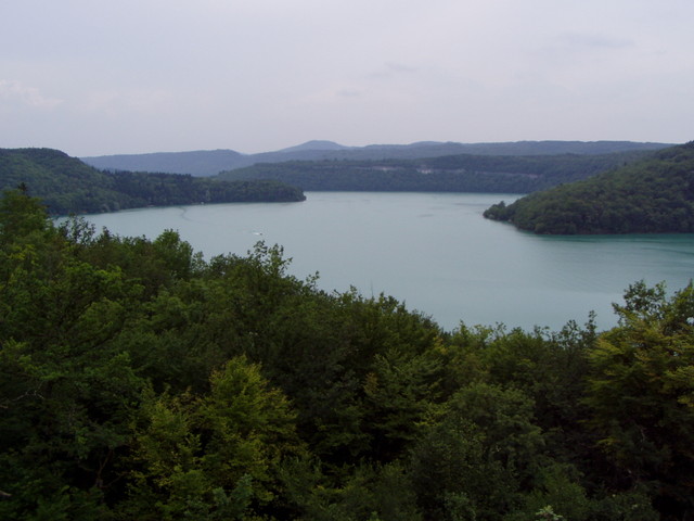 p7130182.jpg