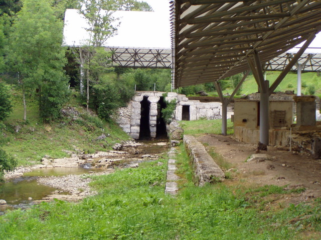 p7130199.jpg