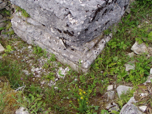 p7130205.jpg