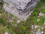 p7130205.jpg