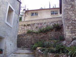 p7160306.jpg