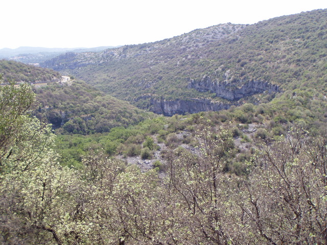 p7160383.jpg