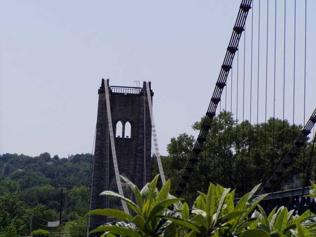 p7160385.jpg