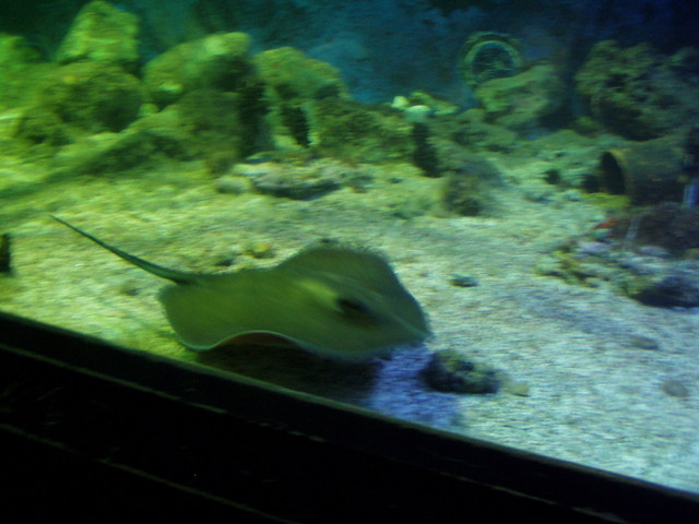 p7180485.jpg