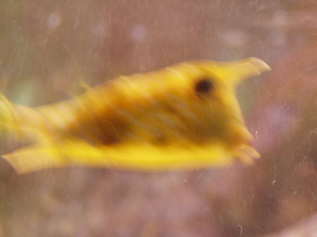 p7180500.jpg