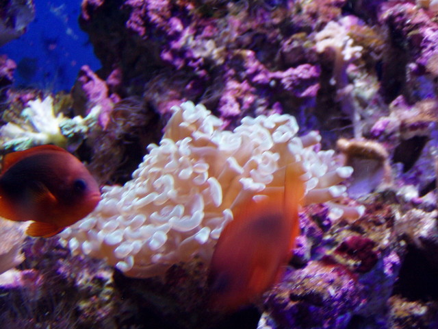 p7180515.jpg