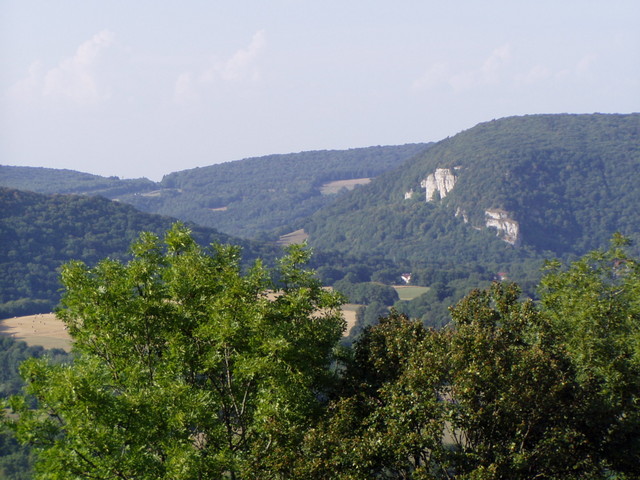 p7210710.jpg
