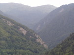 p7140225.jpg