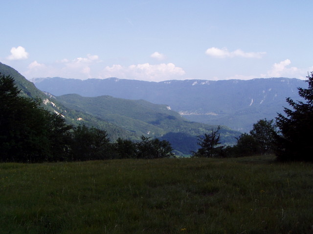 p7140230.jpg