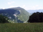 p7140232.jpg