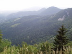 p7140234.jpg