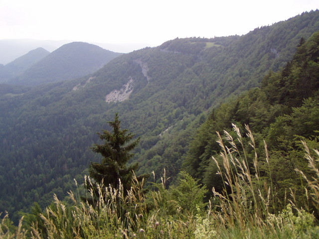 p7140236.jpg